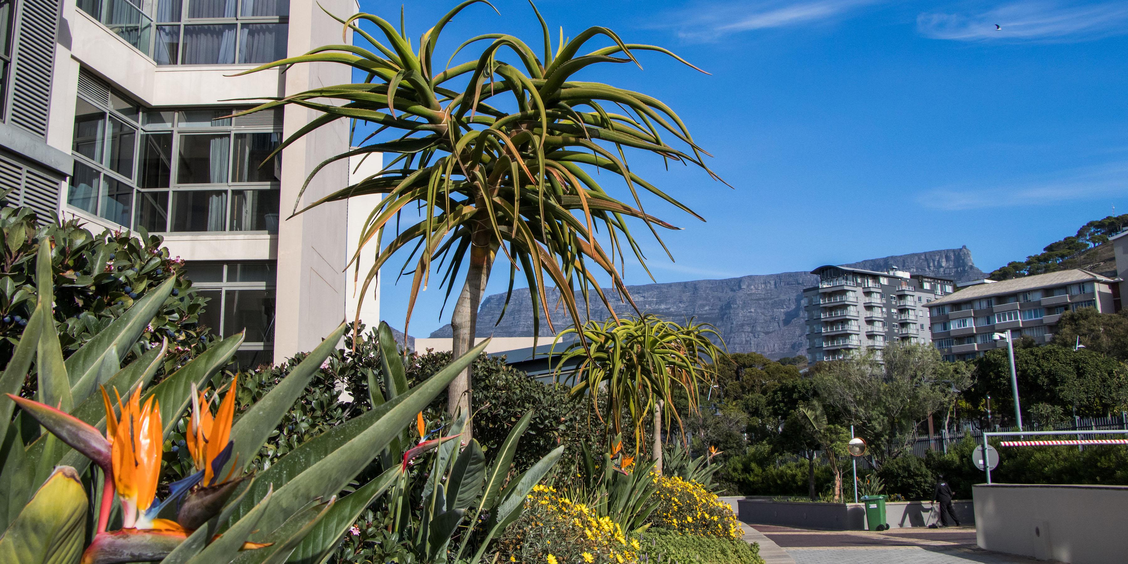 Lawhill Luxury Apartments Cape Town Luaran gambar